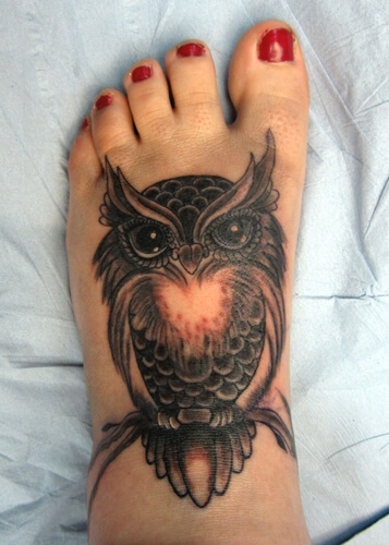 Greyshade Owl.jpg